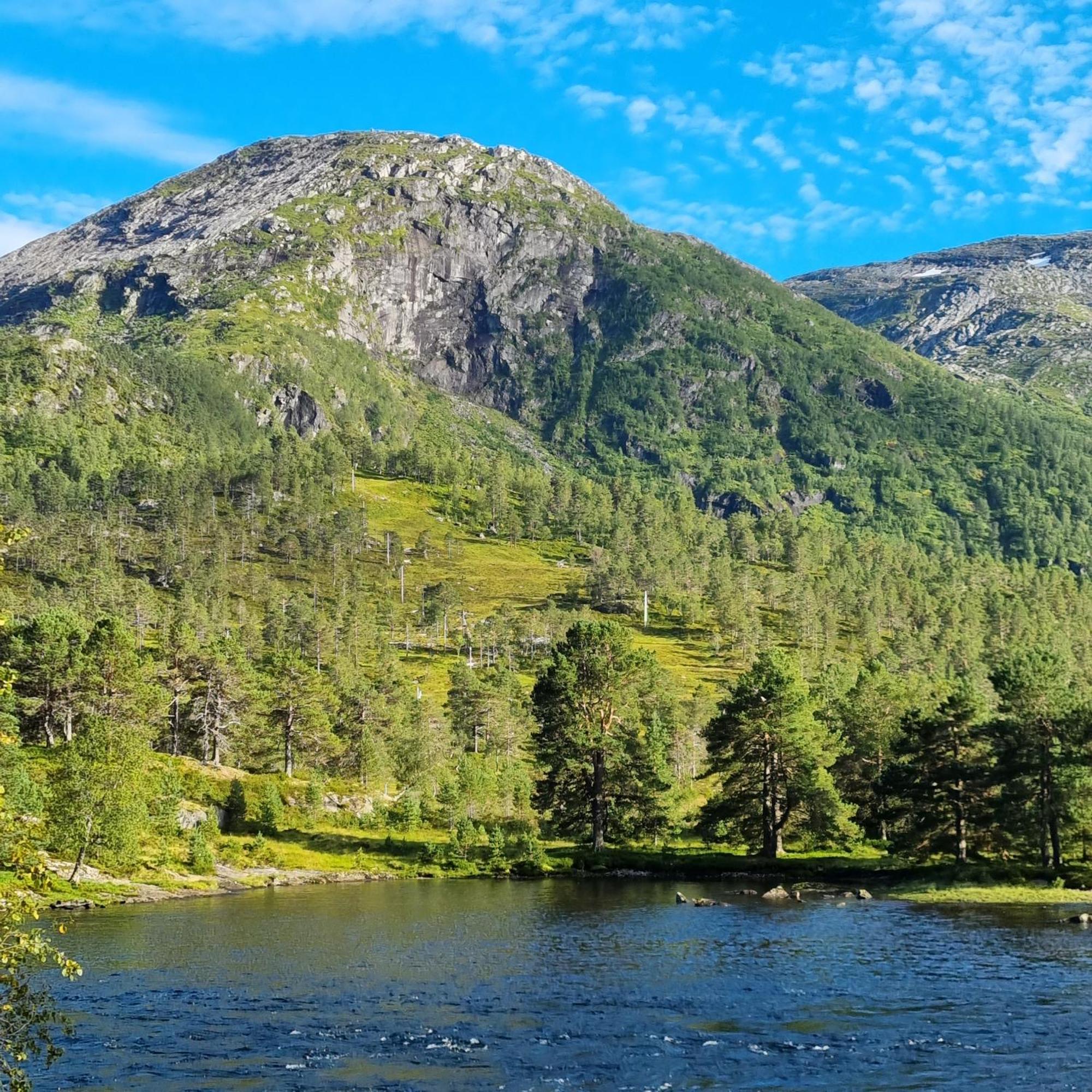 Flatheim Glamping Otel Viksdalen Dış mekan fotoğraf